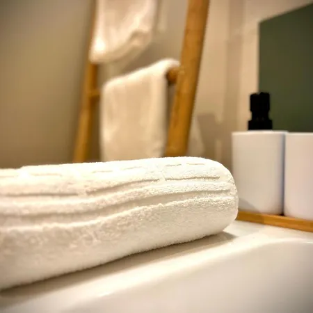 Appartement Le Bain De Lea, Au Coeur De Carcassonne